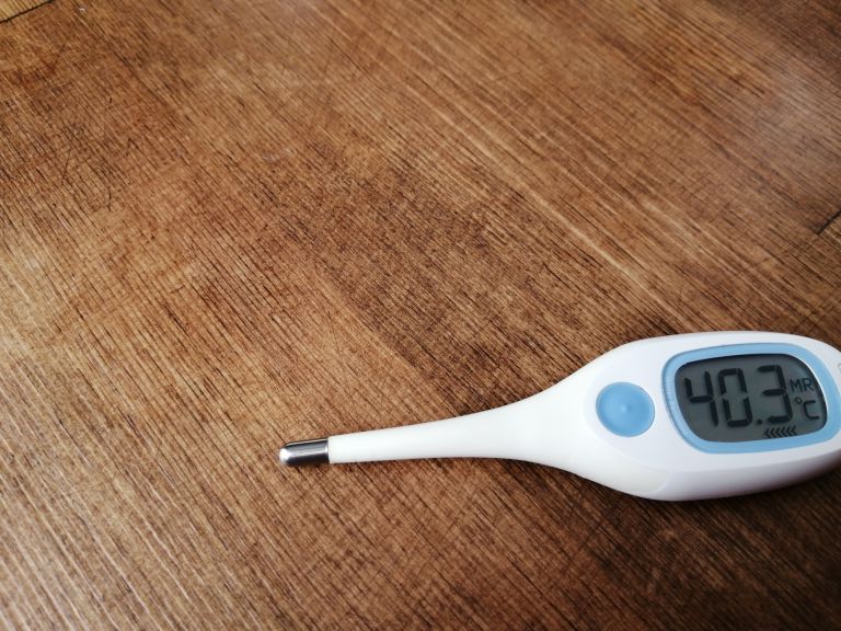 補聴器の選び方と最新トレンド：聴こえの未来を感じる